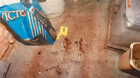 alex murdaugh crime scene photographs|Photo Gallery: See evidence photos from Alex Murdaughs。